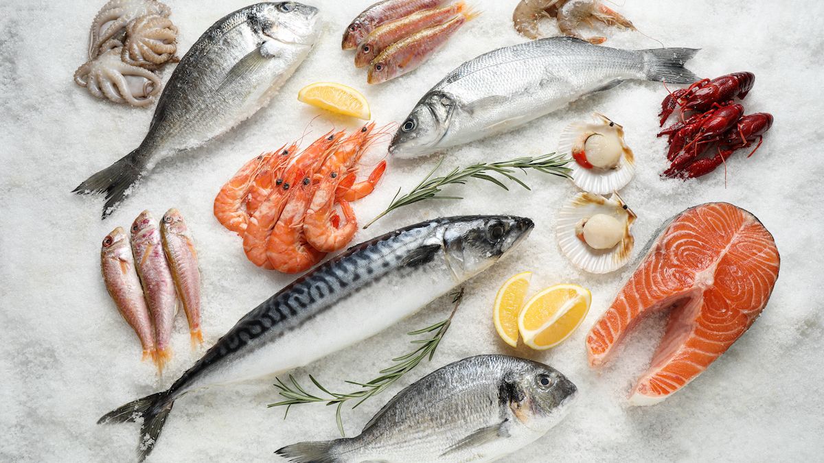Export Documentation for Indian Seafood Shipments: What Importers Should Expect