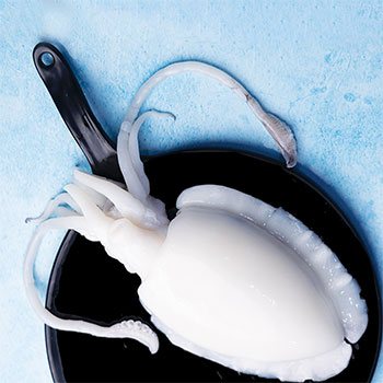 Cuttlefish Whole Cleaned