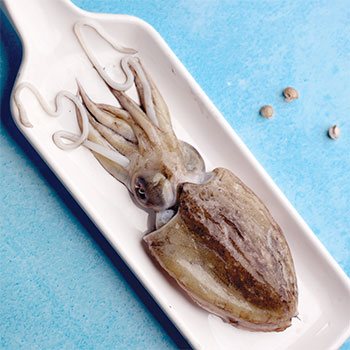 Cuttlefish Whole
