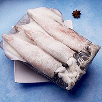 Squid Whole (Loligo)