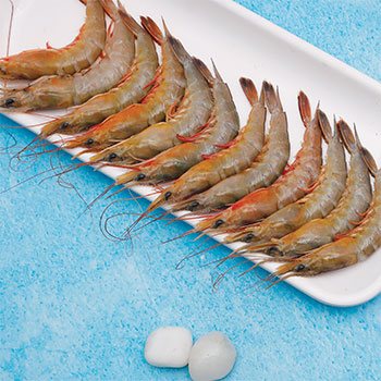Vannamei Shrimp